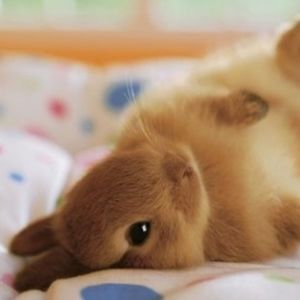 Meet your Posher, Justina